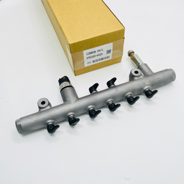 Common Rail Pipe 095600-6420
