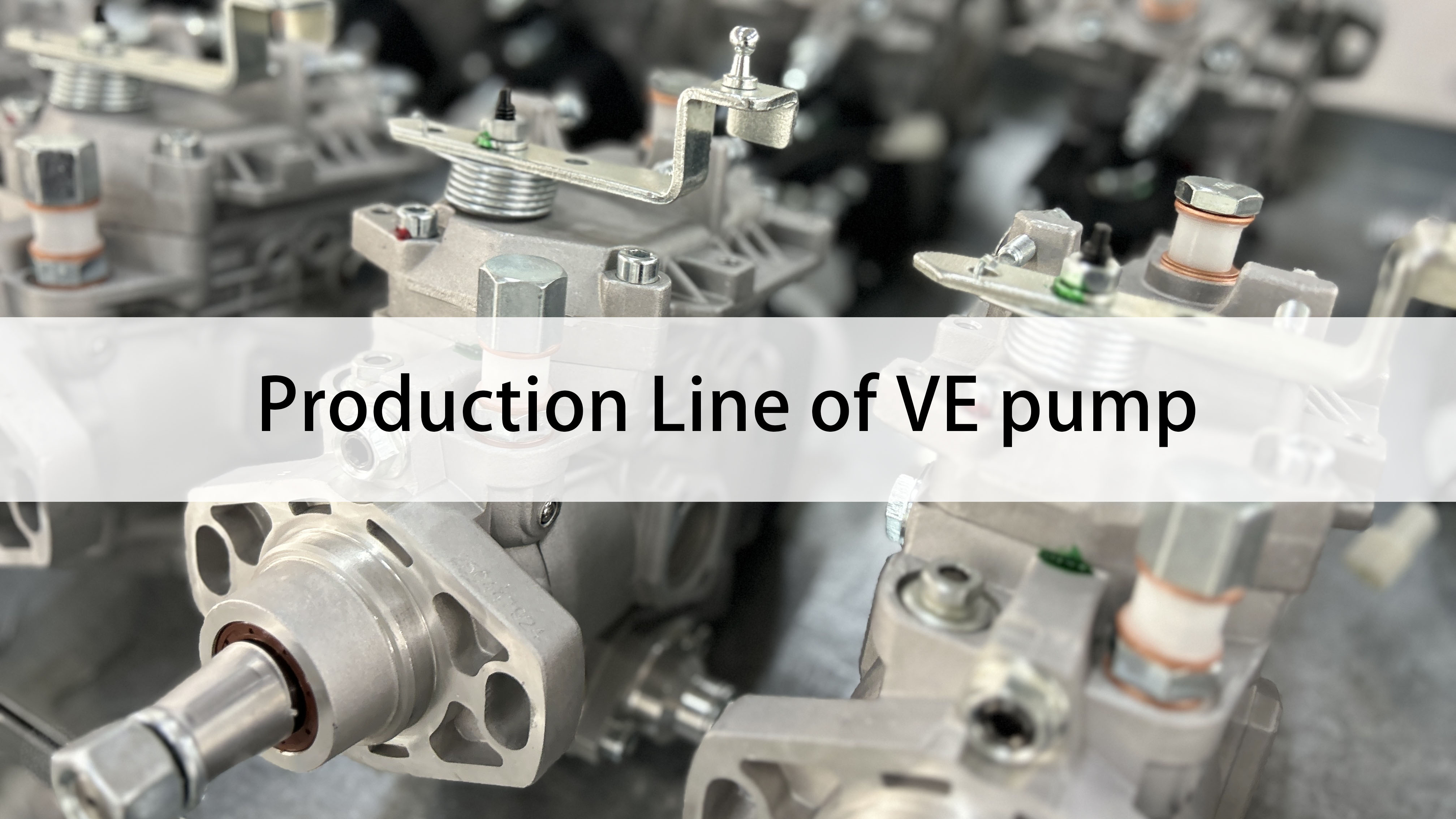 Production Line of VE pump